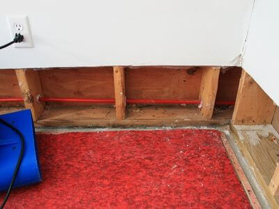 Professional basement mold remediation services in Elwood - Elwood Basement Mold Remediation